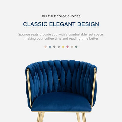 Nrizc Woven Dining Chairs Set of 2, Velvet Upholstered Dining Chairs with Gold Metal Legs, Modern Accent Chairs for Living Room, Dining Room, Kitchen (Blue)