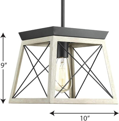Progress Lighting Briarwood Collection 1-Light Coastal Mini-Pendant Light Graphite, Black