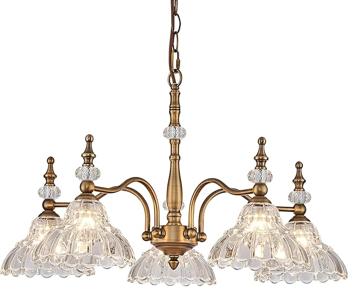 HDDFL Chandeliers Light 5 Lights Chandelier Lamp Modern Pendant Lighting Fixtures Hanging Lamps for Dining Room Entryway Living Room Bedrooms Foyer Entrance Kitchen