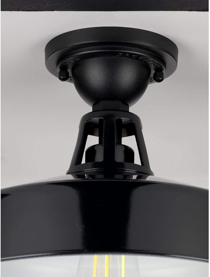 Progress Lighting Cedar Springs Collection 1-Light Farmhouse Outdoor Semi-Flush Mount Light Gloss Black, 9.50x13.25x13.25