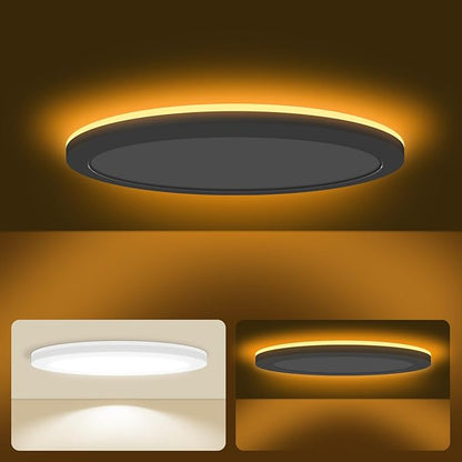 mw 12 Inch LED Flush Mount Ceiling Light Fixture with Night Light,24W,120V, 2700K/3000K/3500K/4000K/5000K Selectable, Wired (No Remote),12 Inch LED Ceiling Light with Night Light,ETL Certified