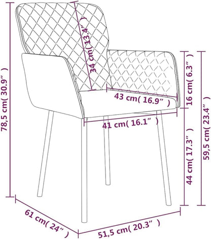 Light Grey Velvet Dining Chair Set of 2 Modern Accent Chairs Ergonomic 19W 16.9D 17.3H for Kitchen Dining Room Living Room Small Space Comfortable Upholstered Seat