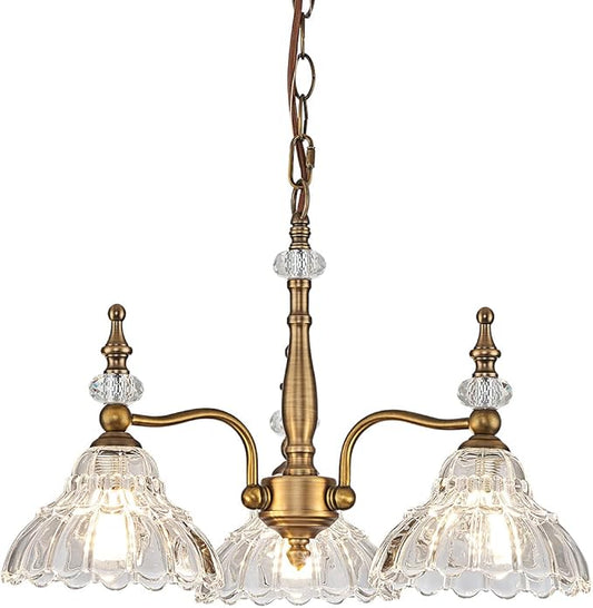 HDDFL Chandelier Light 3 Lights Chandeliers Lamp Modern Pendant Lighting Fixtures for Dining Room Entryway Living Room Bedrooms Foyer Entrance Kitchen