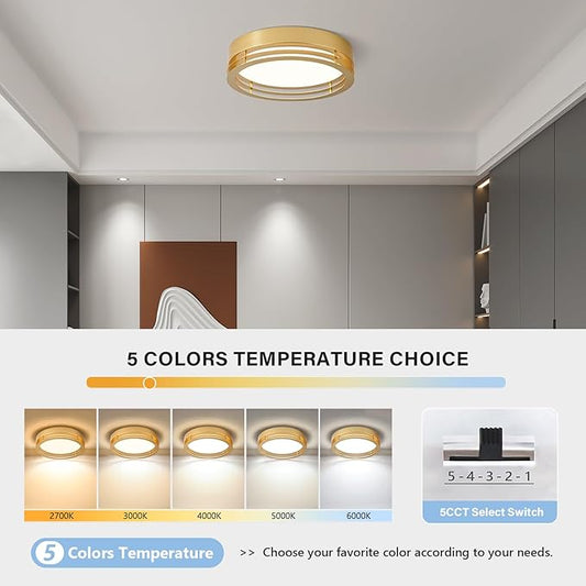 Gold Flush Mount Ceiling Light, Modern Dimmable LED Light Fixture, Minimalist Metal Ceiling Lamp for Bedroom Kitchen Laundry Room Hallway Entry 2700 K - 6000 K 5CCT 11.8 Inch