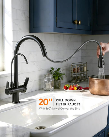 WANFAN Kitchen Sink Faucet with Pull Down Sprayer 2 Handle 3 in 1 Water Filter Purifier Faucets Black 0195R