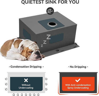 Lordear Drop In Laundry Sink with Faucet 22"x22"x12" Topmount Utility Sink 16 Gauge Stainless Steel Single Bowl for Laundry Room