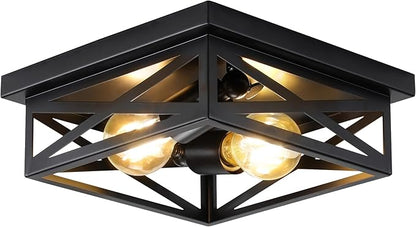 Black Rustic Metal Flush Mount Ceiling Light Fixture, 2-Light Industrial Farmhouse Hallway Light Fixtures, Metal Cage Closed to Ceiling Mounted Lights for Bedroom Kitchen Ceiling Lights
