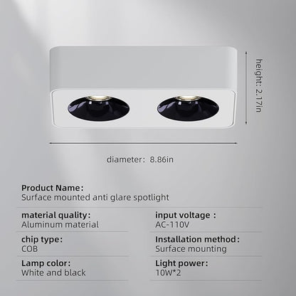 JAYMP Rectangular Modern LED Ceiling Spotlight 3000K Dimmable White Surface Mount Focus Down Light for Living Room Hallway Laundry Room (White, Double Lamp)