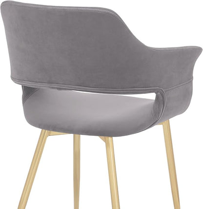 Armen Living Gigi Grey Velvet Dining Room Chair with Gold Metal Legs - Set of 2