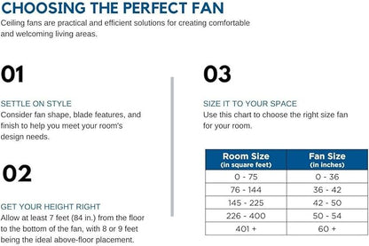 Briarwood Collection 22-Inch 3-Blade AC Motor Farmhouse Ceiling Fan Graphite