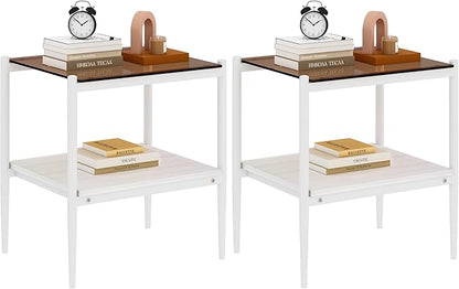 Set of 2 Glass End Table, 2-Layer Glass Living Room Table, Modern Tea Table Side Tables for Home Office Furniture