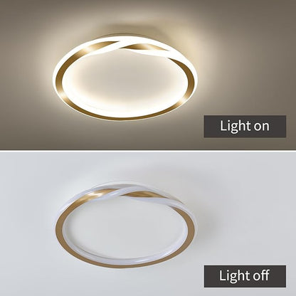 ASGYISA 16inch Modern LED Ceiling Light Gold Flush Mount Light Fixture Bright Ceiling Lamp for Closet Bathroom Hallway Bedroom Kitchen （Circle ） 4000K