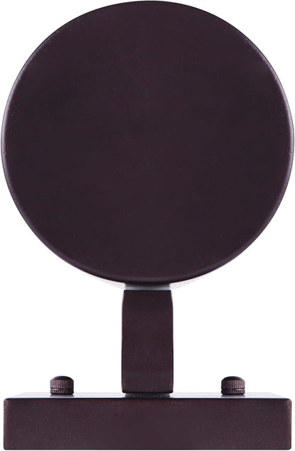 Canarm Nightsky 1-Light Outdoor Lantern, Bronze Wall Light with Easy Install, Dark Sky Approved, Durable Wet-Rated Outdoor Lighting