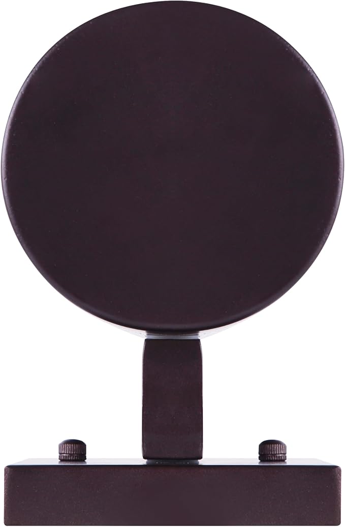 Canarm Nightsky 1-Light Outdoor Lantern, Bronze Wall Light with Easy Install, Dark Sky Approved, Durable Wet-Rated Outdoor Lighting