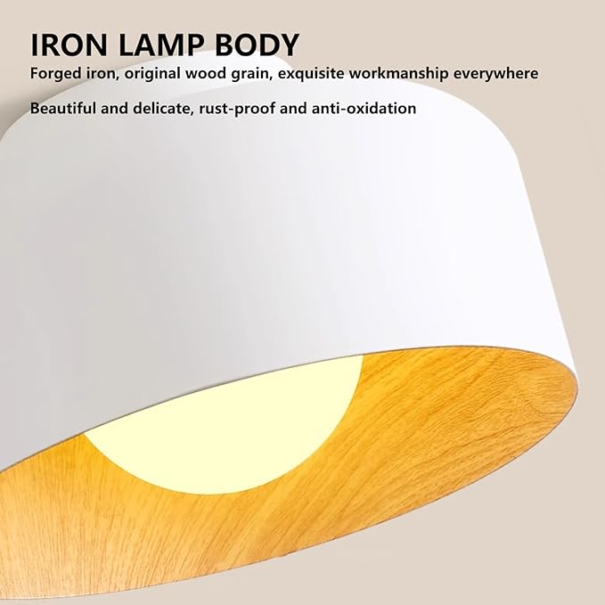 Staircase Flush Mount Ceiling Light Fixture 8.6in Rust-Proof Iron Ceiling Lamp G9 5W Warm Light 3000K Close to Ceiling Light Retro Industrial Interior for Shops, Hostels, Clothing Stores