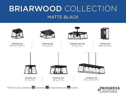Progress Lighting 1-Light Farmhouse Wall Sconce Light Cerused Black Oak, Briarwood Collection, Indoor, P710012-031, Textured Black
