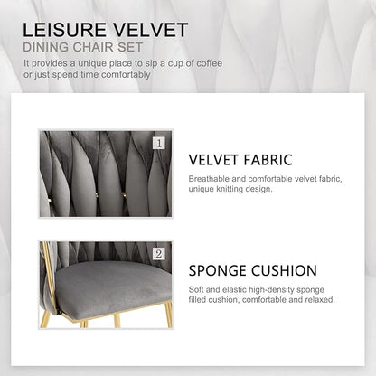 Nrizc Woven Dining Chairs Set of 2, Velvet Upholstered Dining Chairs with Gold Metal Legs, Modern Accent Chairs for Living Room, Dining Room, Kitchen (Grey)