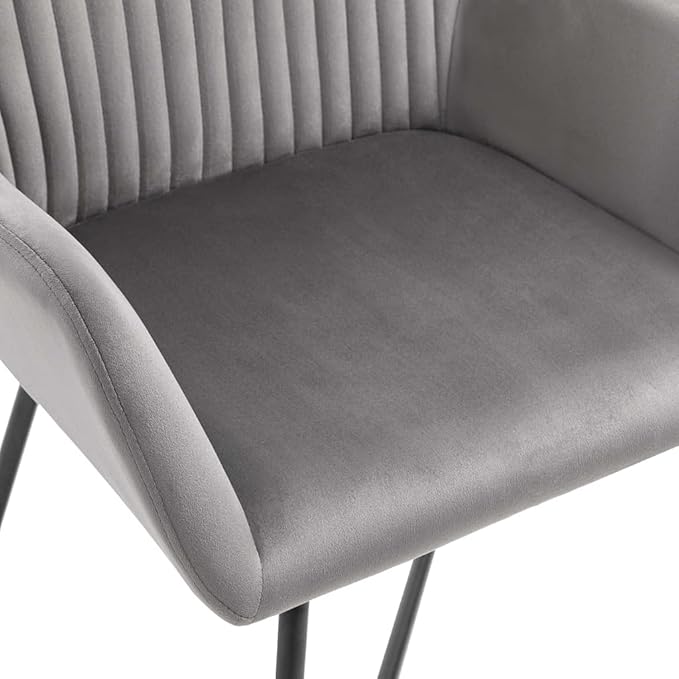 Modern Gray Velvet Dining Chairs Set of 2 Accent Chairs with Steel Legs for Kitchen Living Room Comfortable Furniture