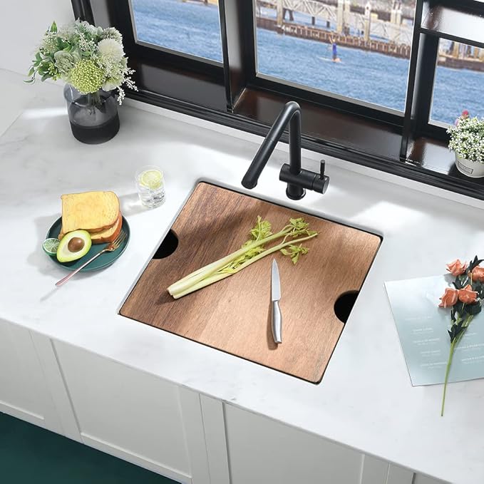21 Inch Black Bar Sink Undermount-iAnomla 21x19 Small Kitchen Sink Black Stainless Steel Wet Bar Prep Sinks Undermount 16 Gauge Singe Bowl Deep Under Mount Rv Sinks with Cutting Board