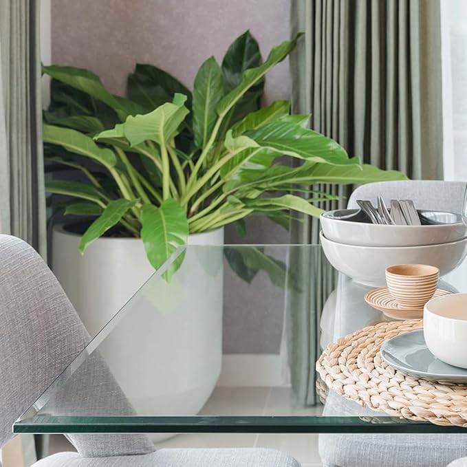 Dulles Glass 60 inch Square Glass Table Top - Tempered - 1/2" Thick Glass Surface, Safe Beveled Edge, Radius Corners, Multipurpose for Dining Table, Patio, Coffee and End Table