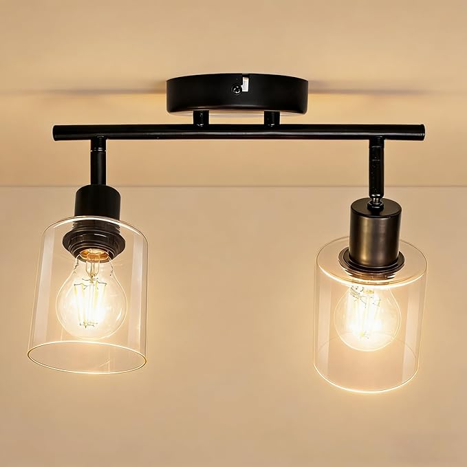 HiBay 2-Light Track Lighting Fixture Black, Ceiling or Wall Mount Rotatable Spotlights with Glass Shades, Modern Farmhouse Industrial Lights for Bedroom, Kitchen Sink, Loft, E26 Base