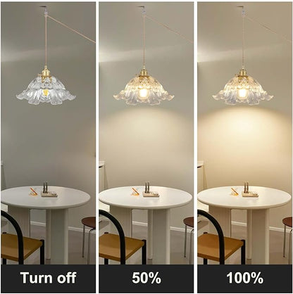 Plug in Pendant Light Fixtures,Hanging Light Fixture Flower Transparent Glass Pendant Light 11 inch E26 Pendant Lighting for Kitchen Island, Bedroom, Dining Room, Living Room
