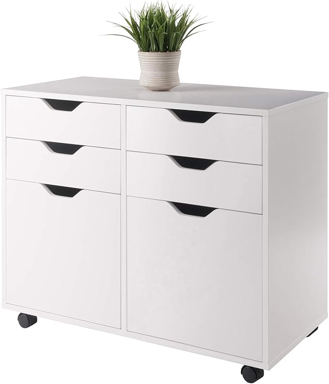 Winsome Halifax Mobile Storage Cabinet with Doors & Drawers, Stylish & Functional Home Storage Cabinet for Filing, Kitchen Organization, Moveable Furniture for Office, Dorms, Apartments