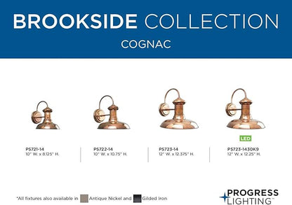 Progress Lighting Brookside Collection 1-Light Outdoor Wall Light, Exterior Wall Lights for Garage Lights, Porch Light, Garages, 12" by 12.375", Copper Finish