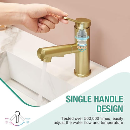 Faustina Light Gold Bathroom Faucet with Pull Out Sprayer, Gold Vanity Faucet for Bathroom or Laundry, Stainless Steel Single Handle with Deck Plate for 1 or 3 Hole, Brushed Finish