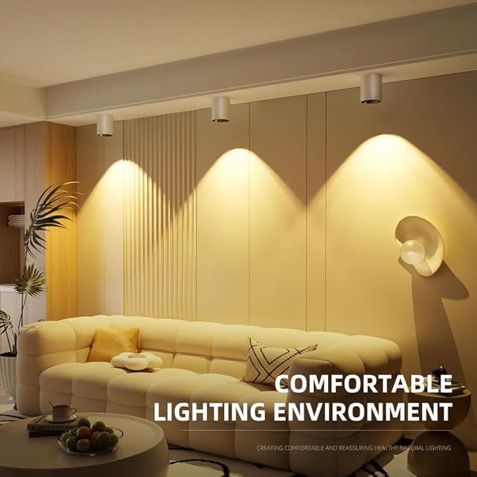JAYMP Modern LED Ceiling Spotlight 3000K Dimmable 24W White Surface Mount Cylinder Down Light for Living Room Hallway Laundry Room