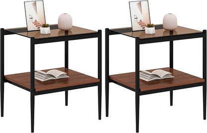 Set of 2 Glass End Table, 2-Layer Glass Living Room Table, Modern Tea Table Side Tables for Home Office Furniture