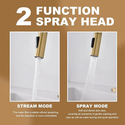 Bathroom Sink Faucet with Pull Down Sprayer,Single Handle Pull Out Faucet with Pop-Up Drain, 1 or 3 Hole Laundry Bar Basin Brushed Gold Faucet with Deck Plate