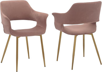 Armen Living Gigi Pink Velvet Dining Room Chair with Gold Metal Legs - Set of 2