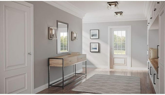 Progress Lighting Briarwood Collection 2-Light Ceiling Light, Flush Mount Ceiling Light Fixture for Interior Kitchen Lights, Hallway, Bedroom, Living Room, 12-Inch by 6-Inch, Graphite