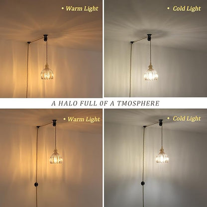 Shenmoyl Plug in Pendant Light Hanging Light Fixture Corded On/Off Switch Brass Pendant Light with Amber Tulip Glass Lampshade for Bedroom Living Room Kitchen Island