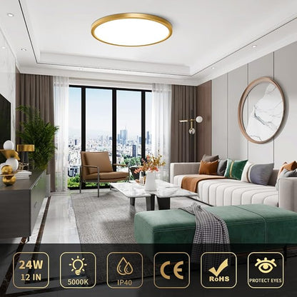 12Inch Flush Mount Ceiling Light Fixture LED, 24W(240W Equivalent), 3200LM, 5000K Daylight White, IP40, Flat Modern Round Ceiling Lights for Bedrooms, Living Rooms, Bathrooms, Stairwells, etc.(Gold)