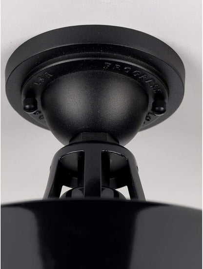 Progress Lighting Cedar Springs Collection 1-Light Farmhouse Outdoor Semi-Flush Mount Light Gloss Black, 9.50x13.25x13.25