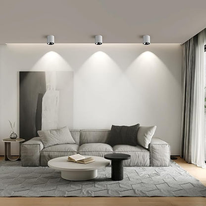 JAYMP Modern LED Ceiling Light 4000K Dimmable 24W COB White Surface Mount Cylinder Accent Down Light for Living Room Hallway Laundry Room