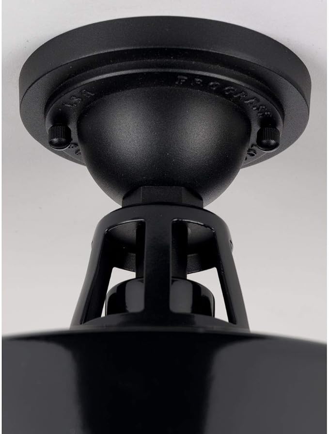 Progress Lighting Cedar Springs Collection 1-Light Farmhouse Outdoor Semi-Flush Mount Light Gloss Black, 9.50x13.25x13.25
