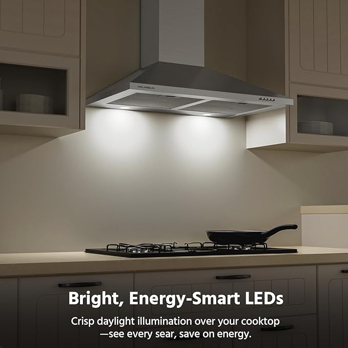 Range Hood 30 inch, 450 CFM Wall Mount Kitchen Hood in Stainless Steel with LED Lighting, 3 Speed Exhaust Fan, Ducted/Ductless Convertible (Charcoal Filters Included)