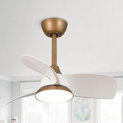 28 Inch White Gold Ceiling Fan with Light and Remote, Modern Small Ceiling Fan with Dimmable LED, 6-Speed Quiet DC Motor, Reversible Airflow, Use for Bedroom, Dining Room, Kitchen