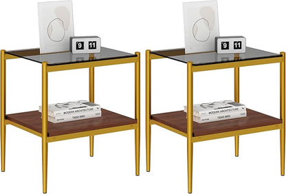 Set of 2 Glass End Table, 2-Layer Glass Living Room Table, Modern Tea Table Side Tables for Home Office Furniture