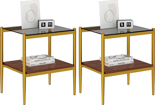 Set of 2 Glass End Table, 2-Layer Glass Living Room Table, Modern Tea Table Side Tables for Home Office Furniture