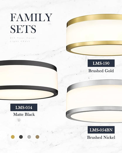 LMS 24W LED Flush Mount Ceiling Light, 15 inch 3CCT 3000K/4000K/5000K, Brushed Gold Close to Ceiling Light for Bathroom, Kitchen, Living Room, LMS-190