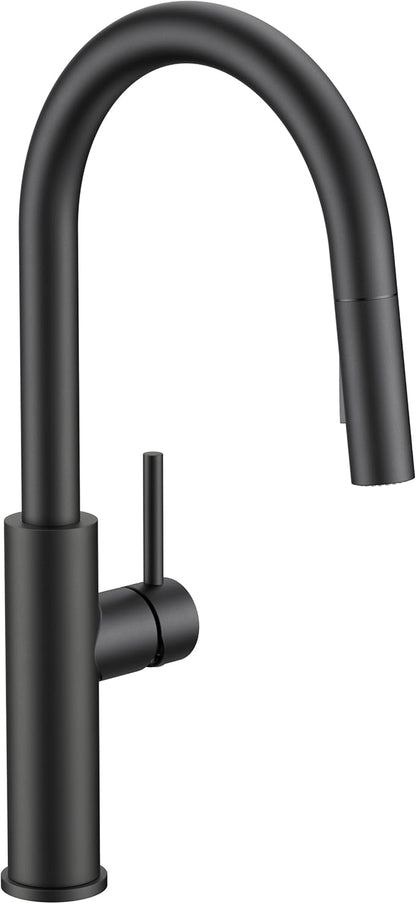 FORIOUS Kitchen Faucet with Pull Down Sprayer, Classic Matte Black, Single Handle High Arc Stainless Steel Kitchen Sink Faucet, 1 or 3 Hole Deck Mount for RV, Bar, Farmhouse, Laundry, Outdoor