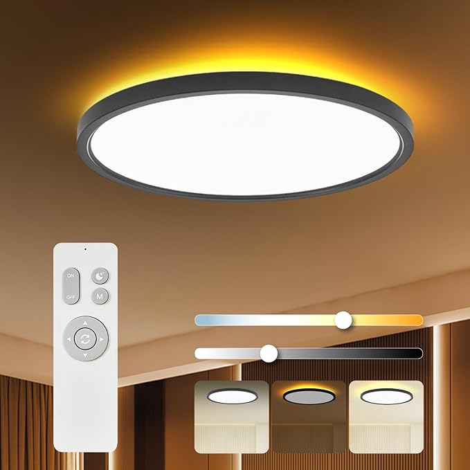 TALOYA Flush Mount Ceiling Light with Remote,3000K-6500K Adjustable,2000K Nightlight,15.8 Inch, Led Low Profile Ceiling Lights for Bedroom, Living Room, Kitchen, Black