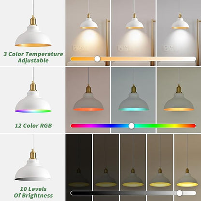 2 Pack Battery Operated Pendant Lights, Rechargeable Pendant Light with Remote, Pendant Light Fixtures for Kitchen island, Modern Industrial hanging Lights for Dining Room Hallway Entryway Bedroom