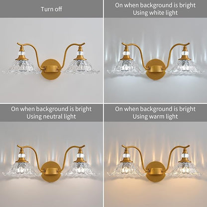 Vintage Bathroom Vanity Light Fixtures - 2 Light Antique Brass Bathroom Lights Fixture Over Mirror with Clear Flower Glass,Retro Brushed Gold Bronze Wall-Mounted Vanity Lighting for Powder Room
