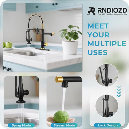 Kitchen Faucet with Pull Down Sprayer - Brushed Nickel Single Handle Commercial Kitchen Faucets, 2-Spout Stainless Steel Spring Pull Out Kitchen Sink Faucet 1/3 Hole with Deck Plate