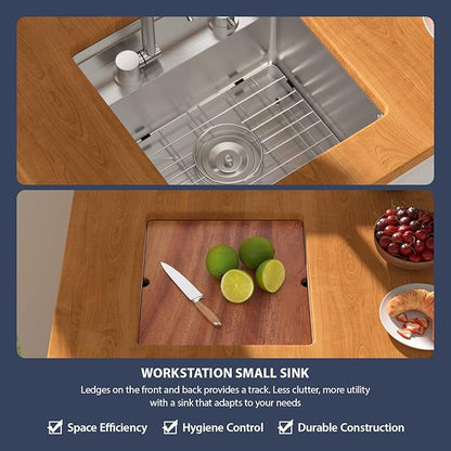 16 Inch Outdoor Kitchen Sink With Faucet and Cover - Beslend 16x17x9 Undermount Kitchen Bar Sink Workstation 16 Gauge Stainless Steel Single Bowl Small Sinks Under Counter Indoor Outdoor